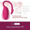 flamingo-3.jpg