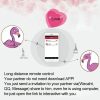 flamingo-5.jpg